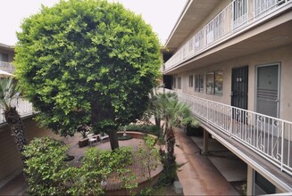 215 N Kenwood St in Glendale, CA - Building Photo - Building Photo