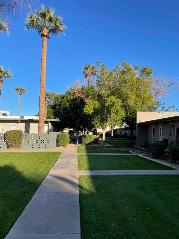 4384 N 36th St in Phoenix, AZ - Building Photo - Building Photo