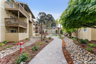 Vista Creek Apartments in Castro Valley, CA - Building Photo - Building Photo