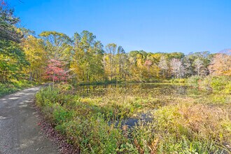 497 Winthrop Rd in Deep River, CT - Building Photo - Building Photo