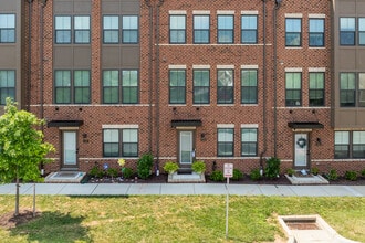 Banner Row in Baltimore, MD - Building Photo - Building Photo