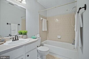 20951 Timber Ridge Terrace in Ashburn, VA - Building Photo