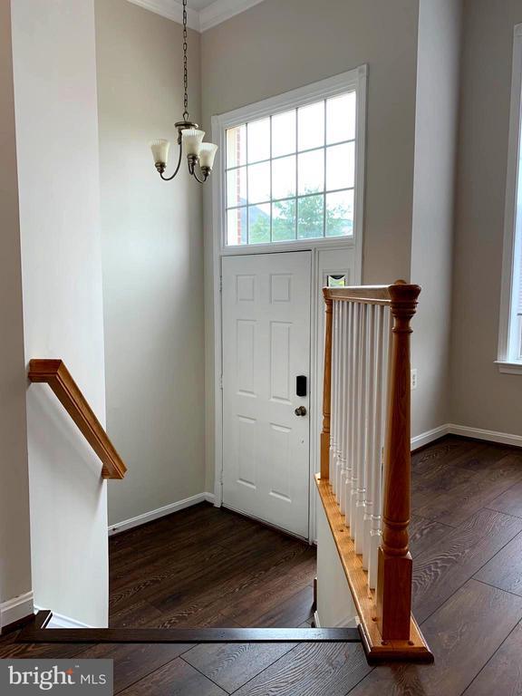13052 Greg Roy Ln in Herndon, VA - Building Photo - Building Photo