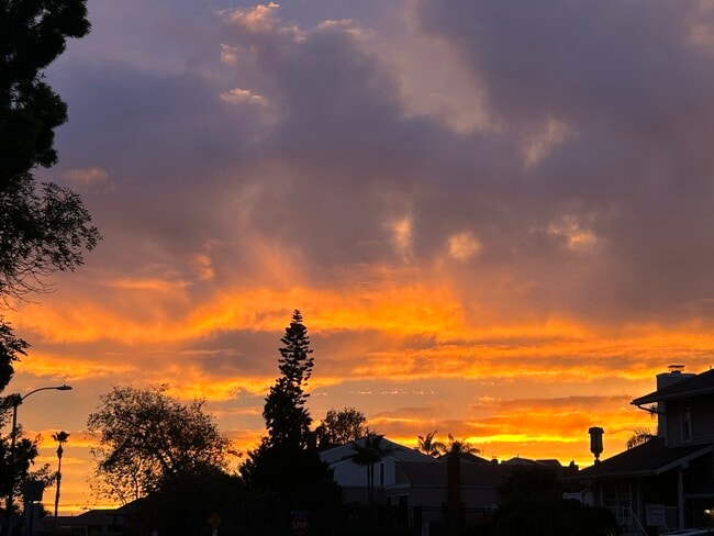 24432 Alta Vista Dr in Dana Point, CA - Building Photo - Building Photo