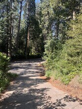 3183 Sly Park Rd in Pollock Pines, CA - Building Photo - Building Photo