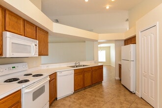 30629 Midtown Ct in Wesley Chapel, FL - Building Photo - Building Photo