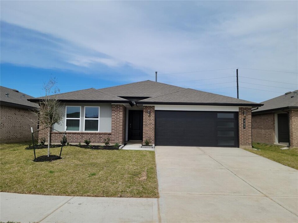 703 Alpine Fls Rd in Rosharon, TX - Building Photo