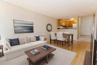 230 E Ontario St, Unit 2203 in Chicago, IL - Building Photo - Building Photo