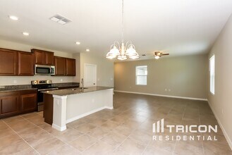 12737 Lemon Pepper Dr in Riverview, FL - Building Photo - Building Photo