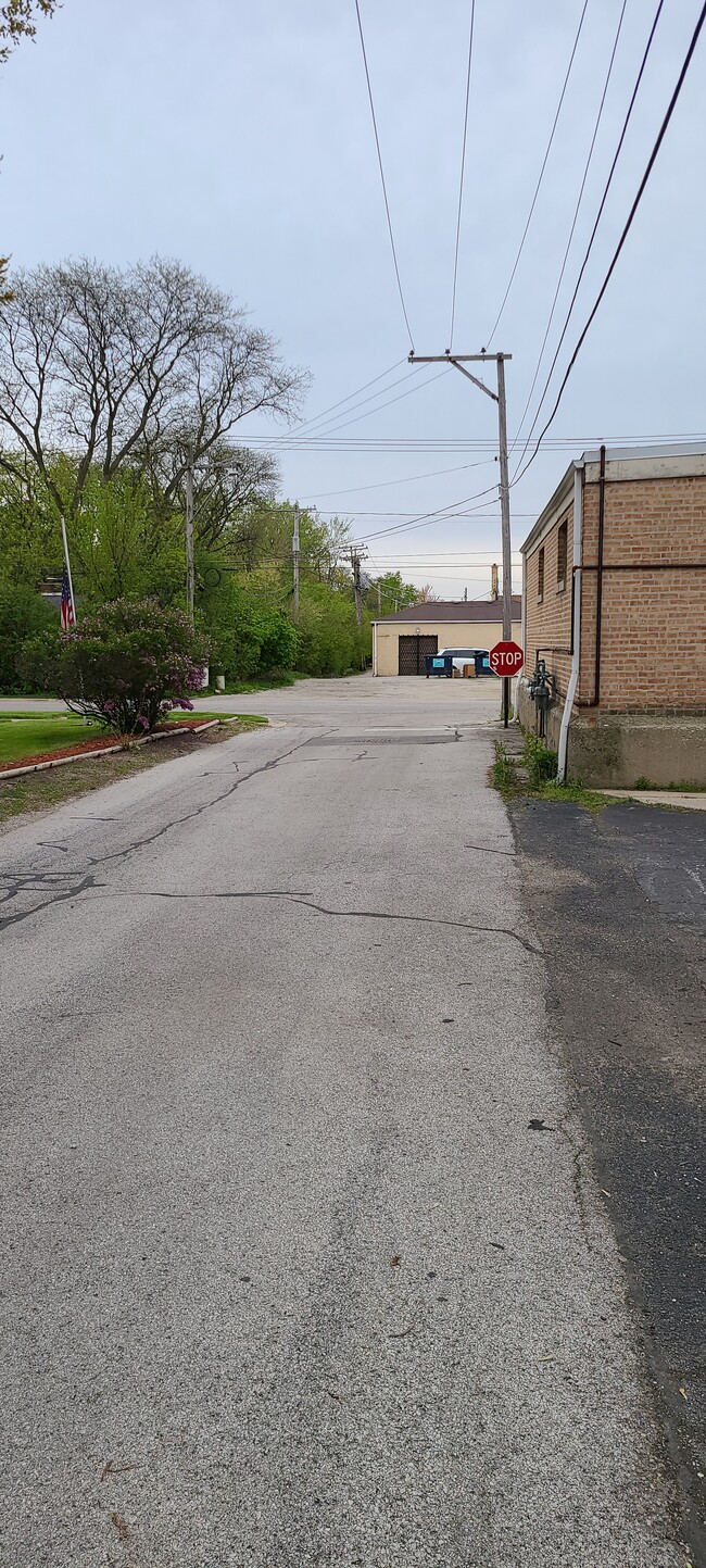 18675 Dixie Hwy, Unit Rear in Homewood, IL - Building Photo - Building Photo