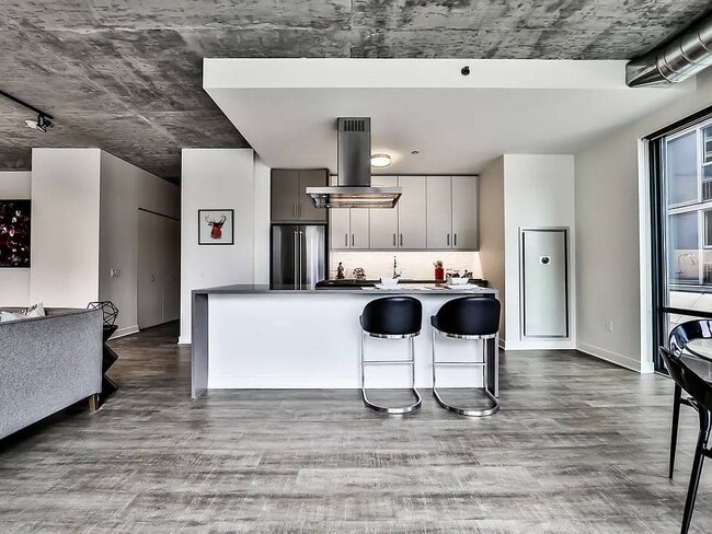 475 E Ohio St in Chicago, IL - Building Photo - Building Photo