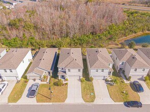 16858 Secret Meadow Dr in Odessa, FL - Building Photo - Building Photo