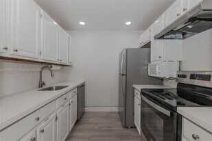 300 SW 134th Way in Pembroke Pines, FL - Building Photo