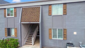 3805 Cortez Cir in Tampa, FL - Building Photo
