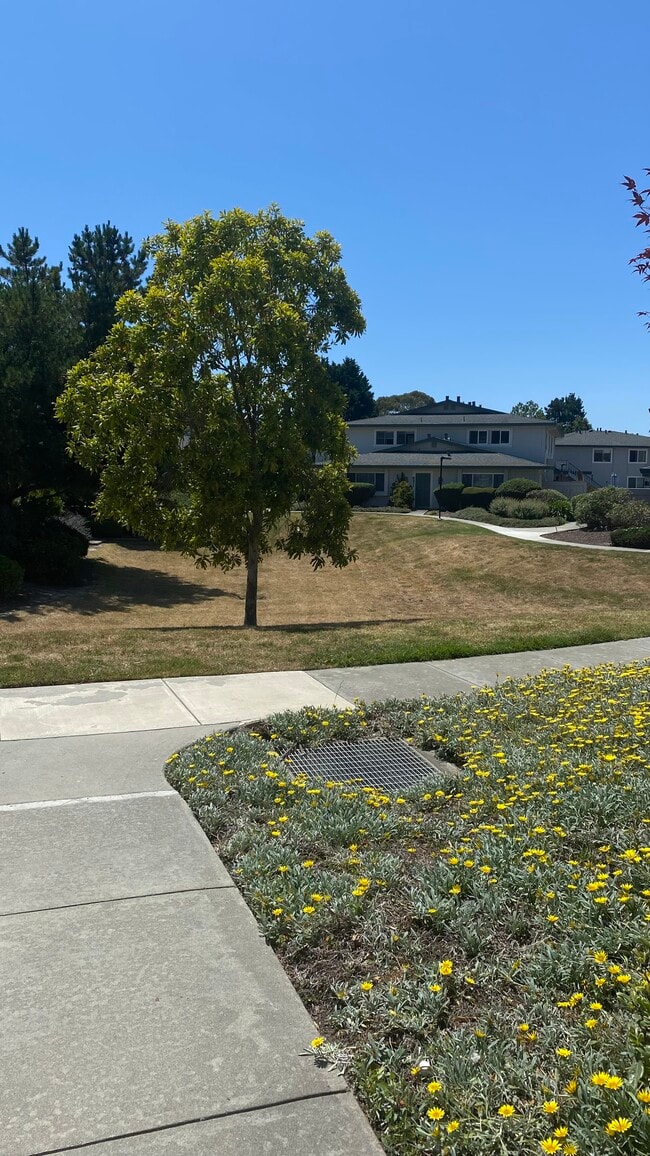 4205 Starboard Ct, Unit susan in Soquel, CA - Foto de edificio - Building Photo