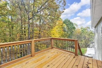 1125 Faye St in Kingsport, TN - Building Photo - Building Photo