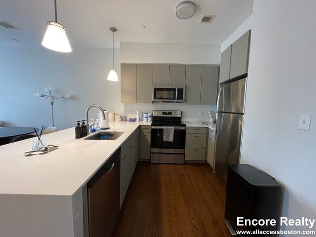 455 Harvard St, Unit 204 in Brookline, MA - Building Photo - Building Photo