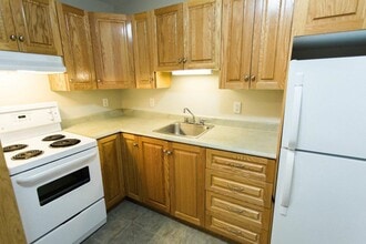 The Bristol in St John's, NL - Building Photo - Building Photo