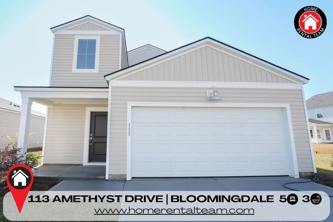 113 Amethyst Dr in Bloomingdale, GA - Building Photo