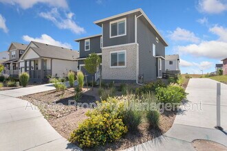 2418 Cottongrass Ave in Loveland, CO - Foto de edificio - Building Photo