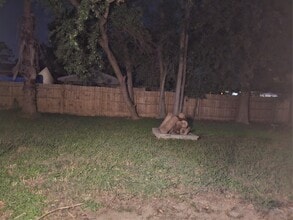 4011 Alshire Dr in Spring, TX - Building Photo - Building Photo