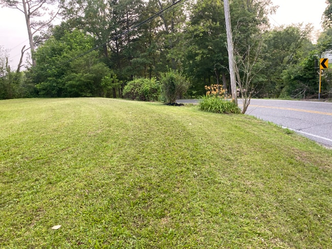 205 Lick Creek Rd in Big Sandy, TN - Building Photo - Building Photo