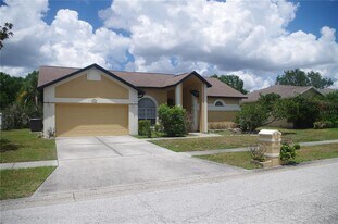 4207 Elba Pl in Valrico, FL - Building Photo