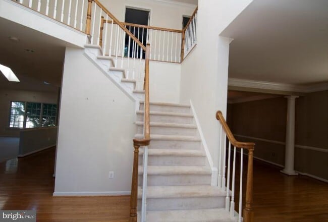 10838 Welbury Ct in Reston, VA - Building Photo - Building Photo