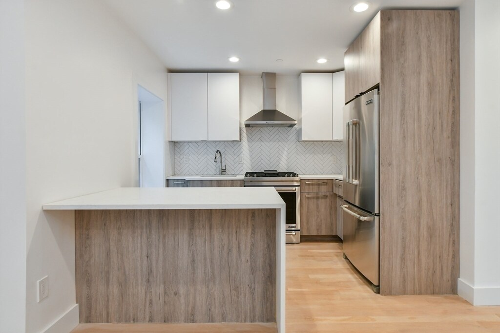 55 E Springfield St, Unit 4 in Boston, MA - Building Photo