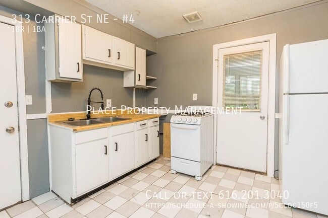 313 Carrier St NE in Grand Rapids, MI - Building Photo - Building Photo
