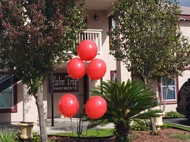 Palm Tree Apartments- NOW AVAILABLE!