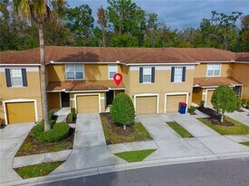 4309 Winding River Way in Land O Lakes, FL - Building Photo