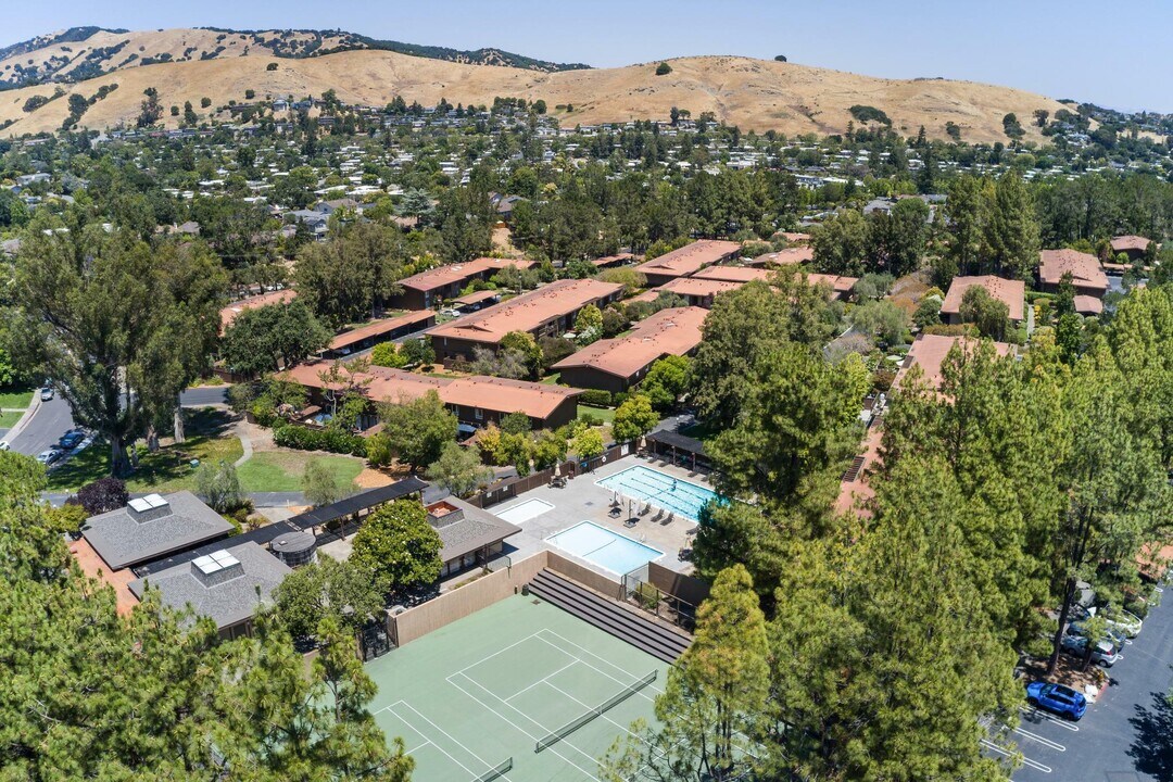 43 Forest Ln in San Rafael, CA - Building Photo