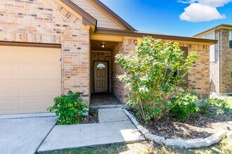 1029 Brighton Pl in Round Rock, TX - Building Photo - Building Photo