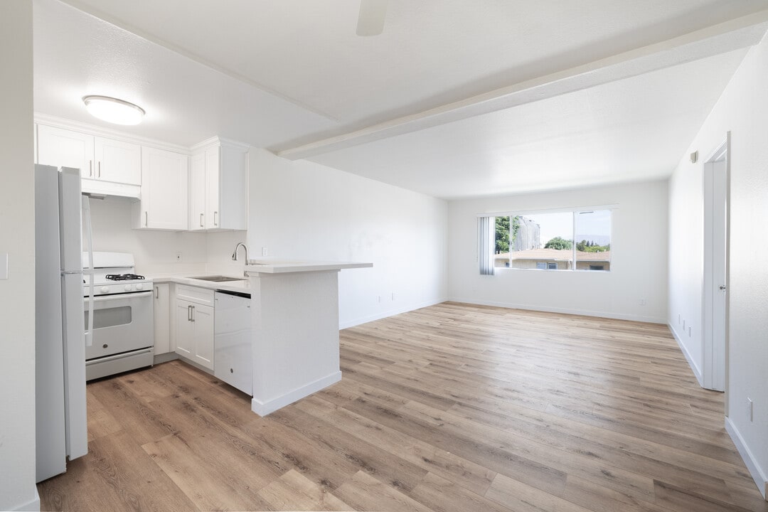 5257 Willowcrest Ave in North Hollywood, CA - Building Photo