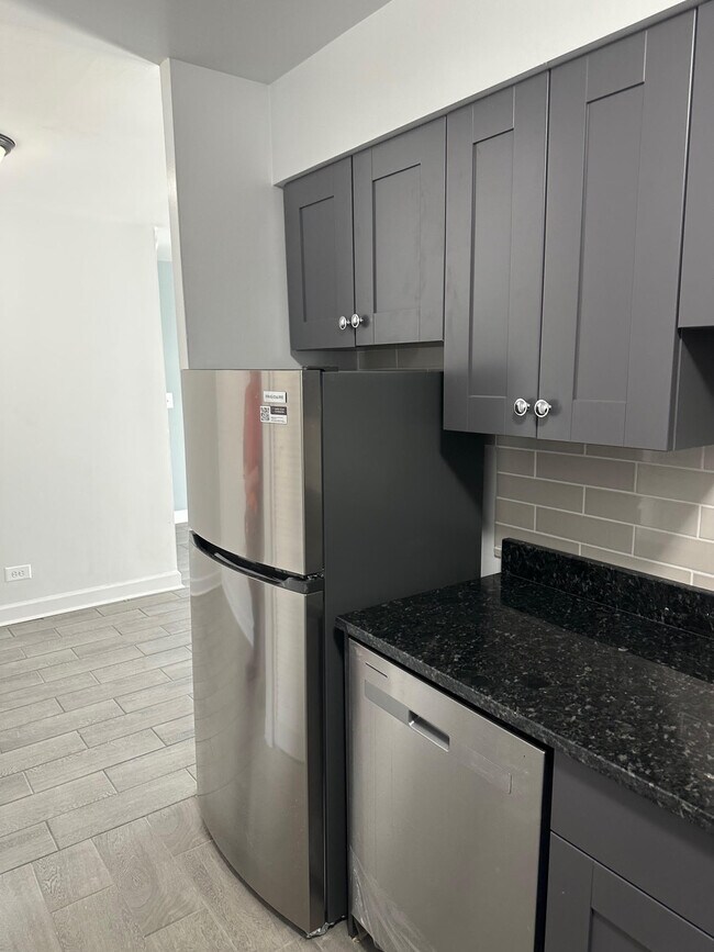 1302 Carol St, Unit TWO BEDS in Park Ridge, IL - Building Photo - Building Photo