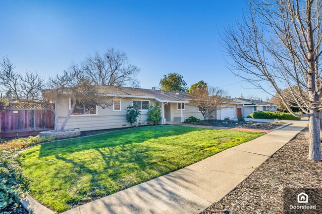 241 Walnut Ave in Walnut Creek, CA - Building Photo - Building Photo