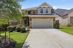 313 Rise Ln in Montgomery, TX - Building Photo