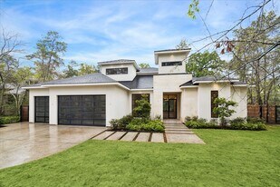 5 Buttonbush Ct in Spring, TX - Building Photo