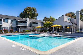 Parc Medallion Apartments in Union City, CA - Building Photo - Building Photo