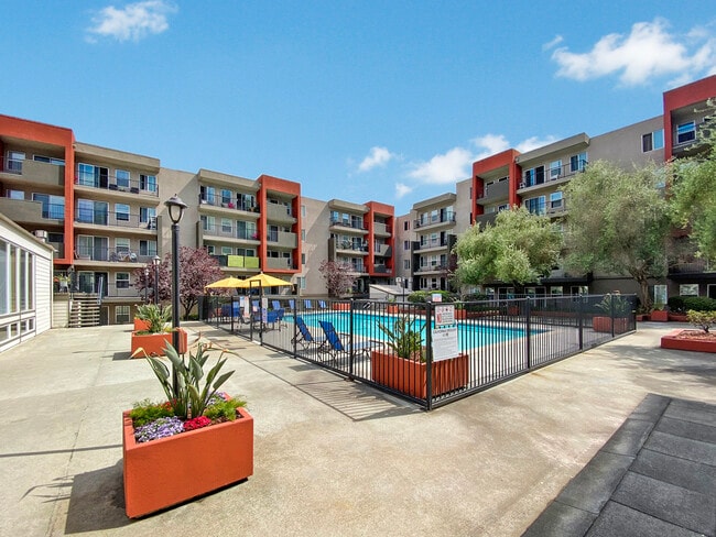 Piedmont in Oakland, CA - Building Photo - Building Photo