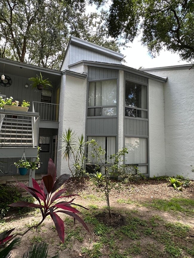 property at 2420 Lemon Tree Ln