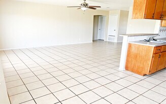 4203 Lonesome Dove Dr in Killeen, TX - Building Photo