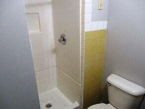 704 W Mulberry St in Bloomington, IL - Foto de edificio - Building Photo