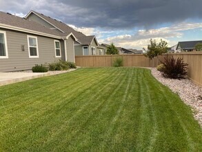 6937 Grassy Range Dr in Wellington, CO - Building Photo - Building Photo