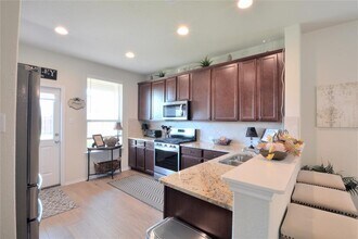 213 Compania Cove in Liberty Hill, TX - Building Photo - Building Photo