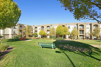 Portofino Senior Apartments in Henderson, NV - Building Photo - Building Photo