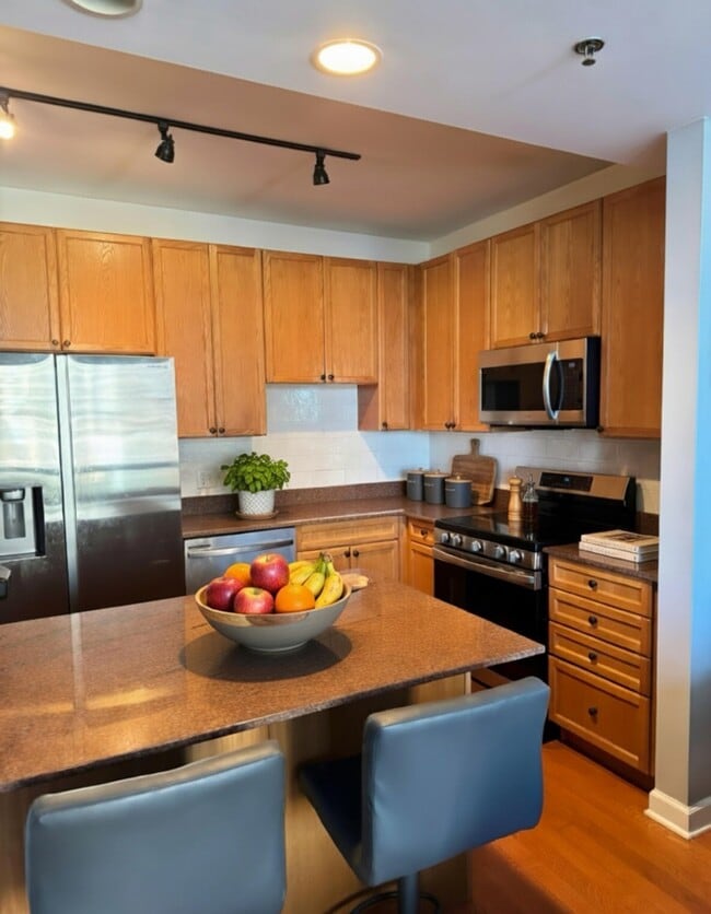 1250 S Michigan Ave, Unit 1250 S. Michigan Ave 1005 in Chicago, IL - Foto de edificio - Building Photo