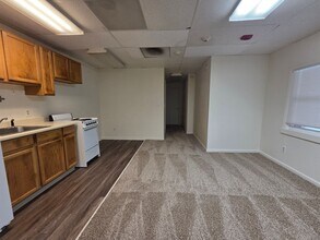1221 Miner's Alley in Golden, CO - Building Photo - Building Photo