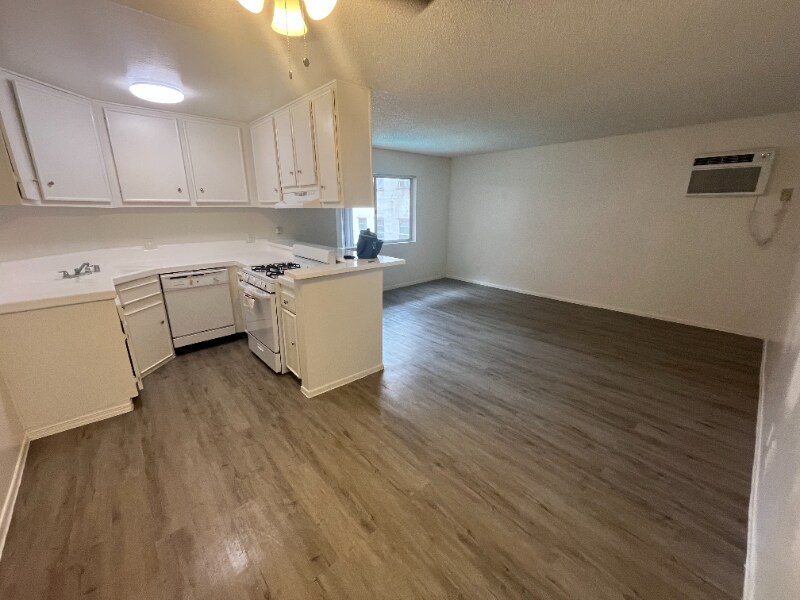 509 N Berendo St in Los Angeles, CA - Building Photo